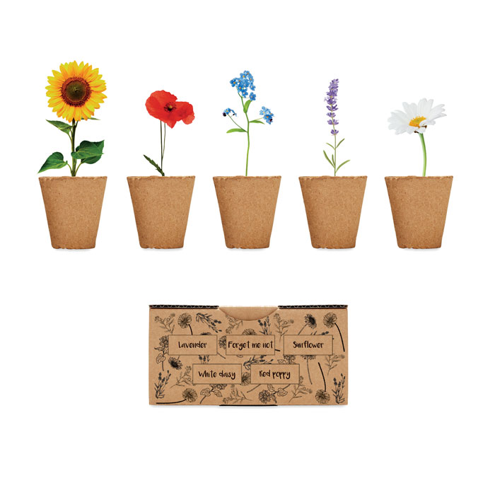 FLOWERS - Bloemen kweekset