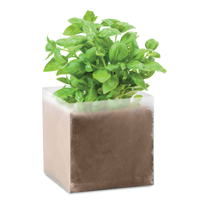 BASIL - Basilicum zaadjes