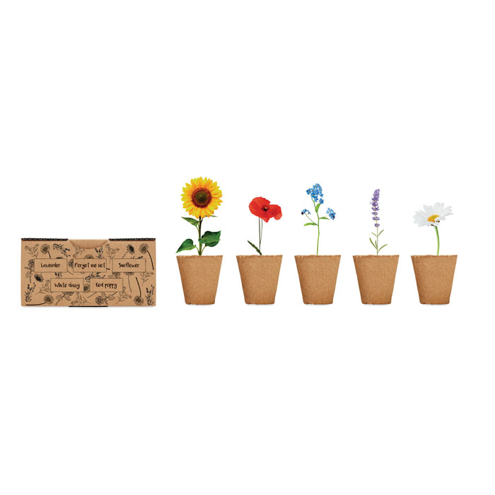 FLOWERS - Bloemen kweekset