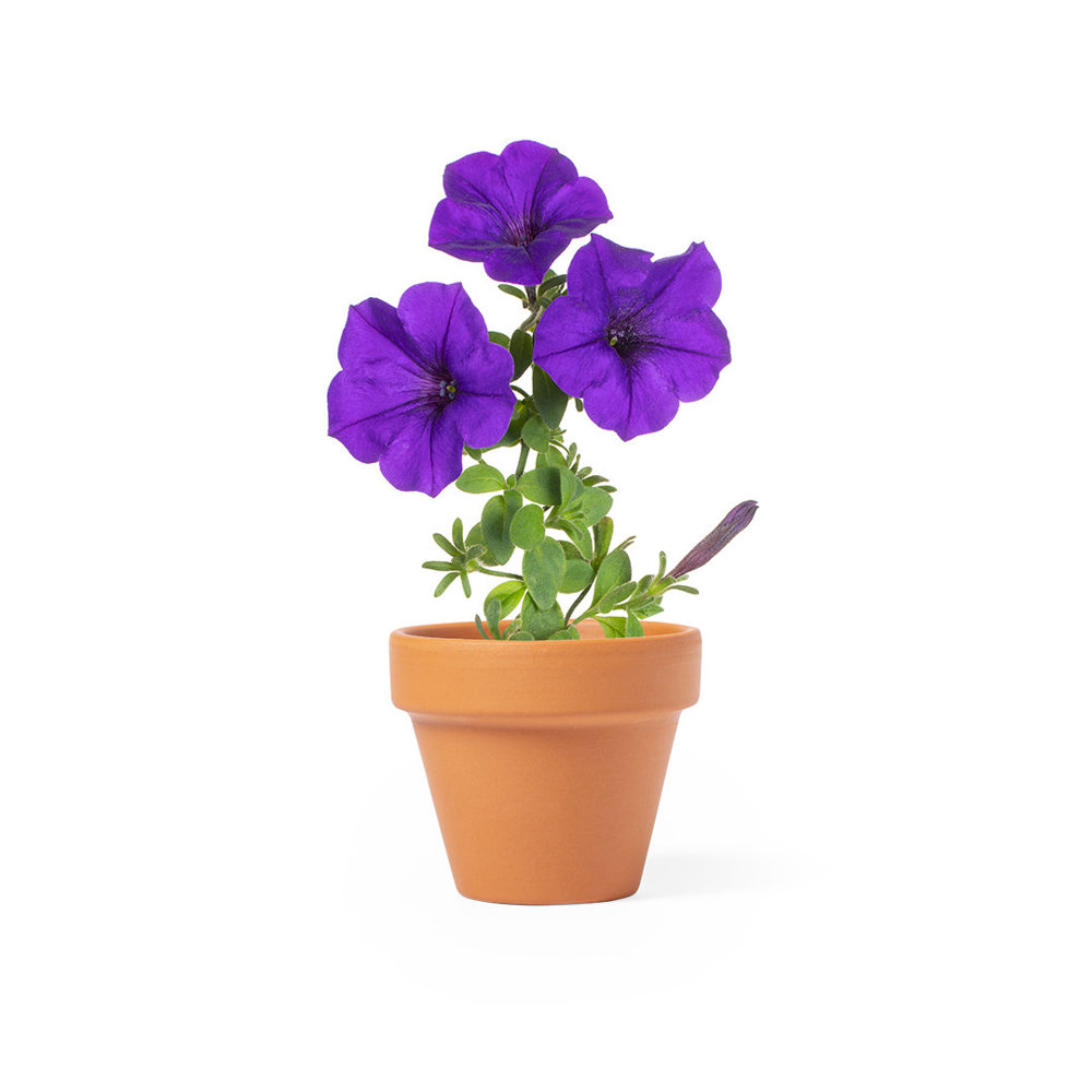 Bloempot Soltax