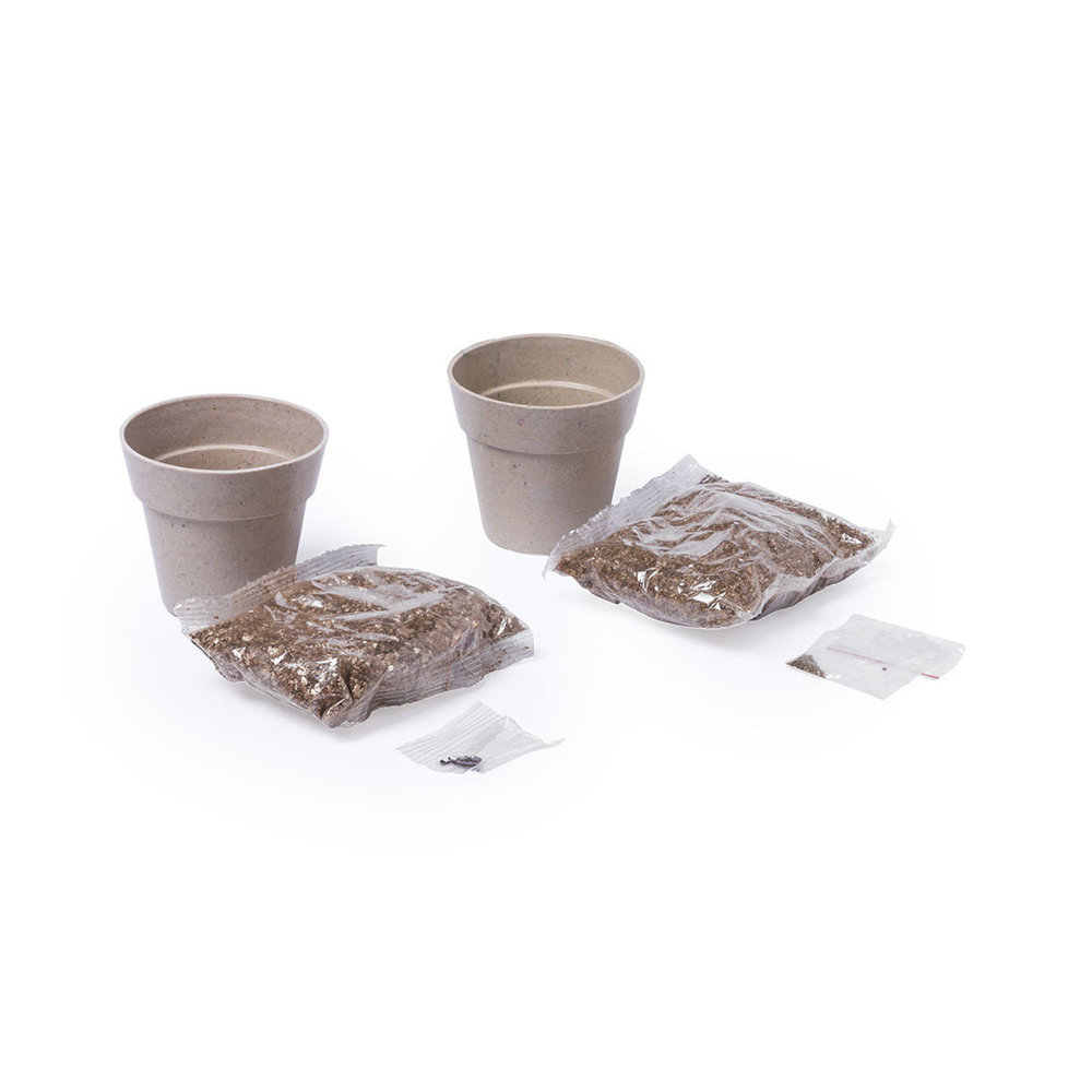 Bloempot Set Nertel